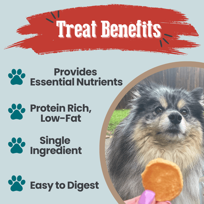 Fish Chips Snack Pack Bundles | Dog Treats for Training & Travel