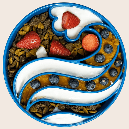 Slow Feeder Dog Bowls