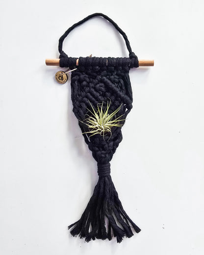Macrame Air Plant Hanger