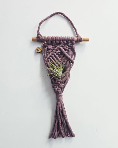 Macrame Air Plant Hanger